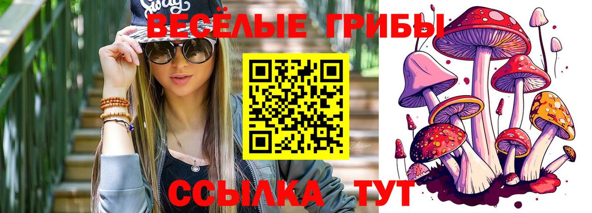 Галлюциногенные грибы мицелий Изобильный