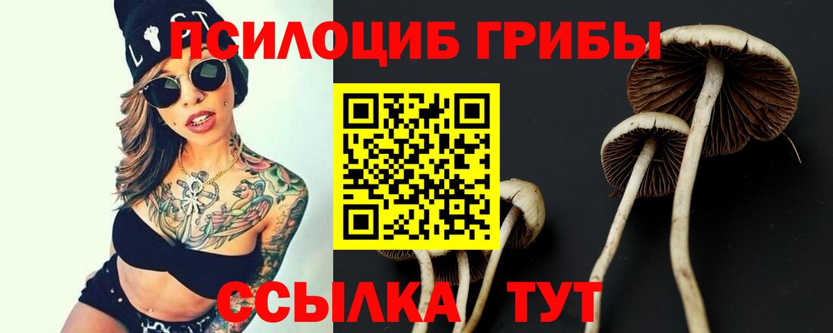 Псилоцибиновые грибы MAGIC MUSHROOMS  купить наркотики цена  Изобильный  Вход с VPN  Псилоцибиновые грибы мицелий 